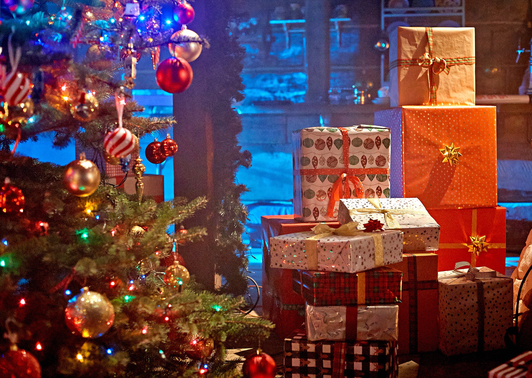 A short summer break for reindeer