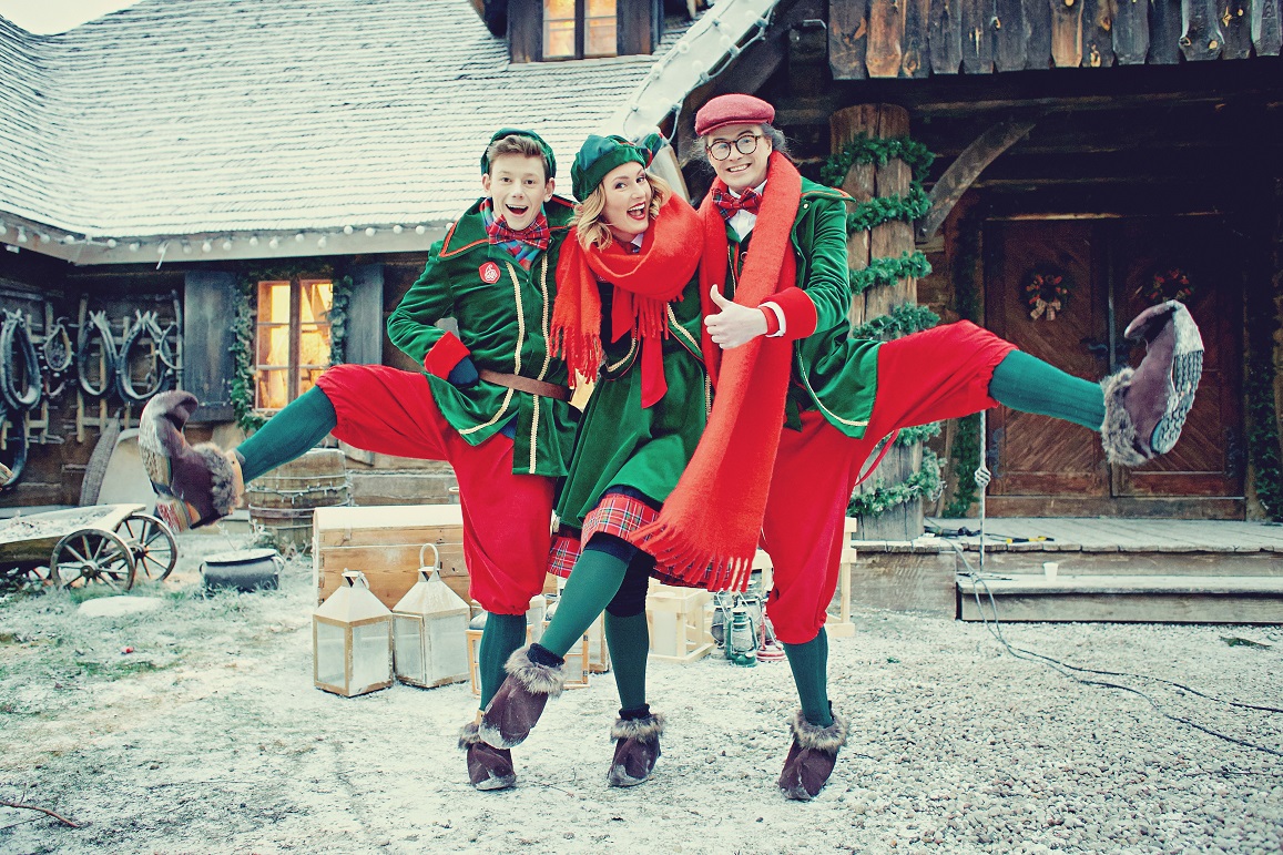 Who Are The Elves and What Do They Do?