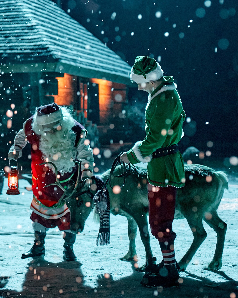 Get to Know Santa’s Reindeers!