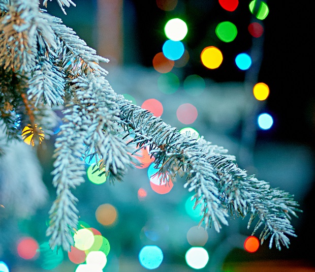 What Time Is It at the North Pole?