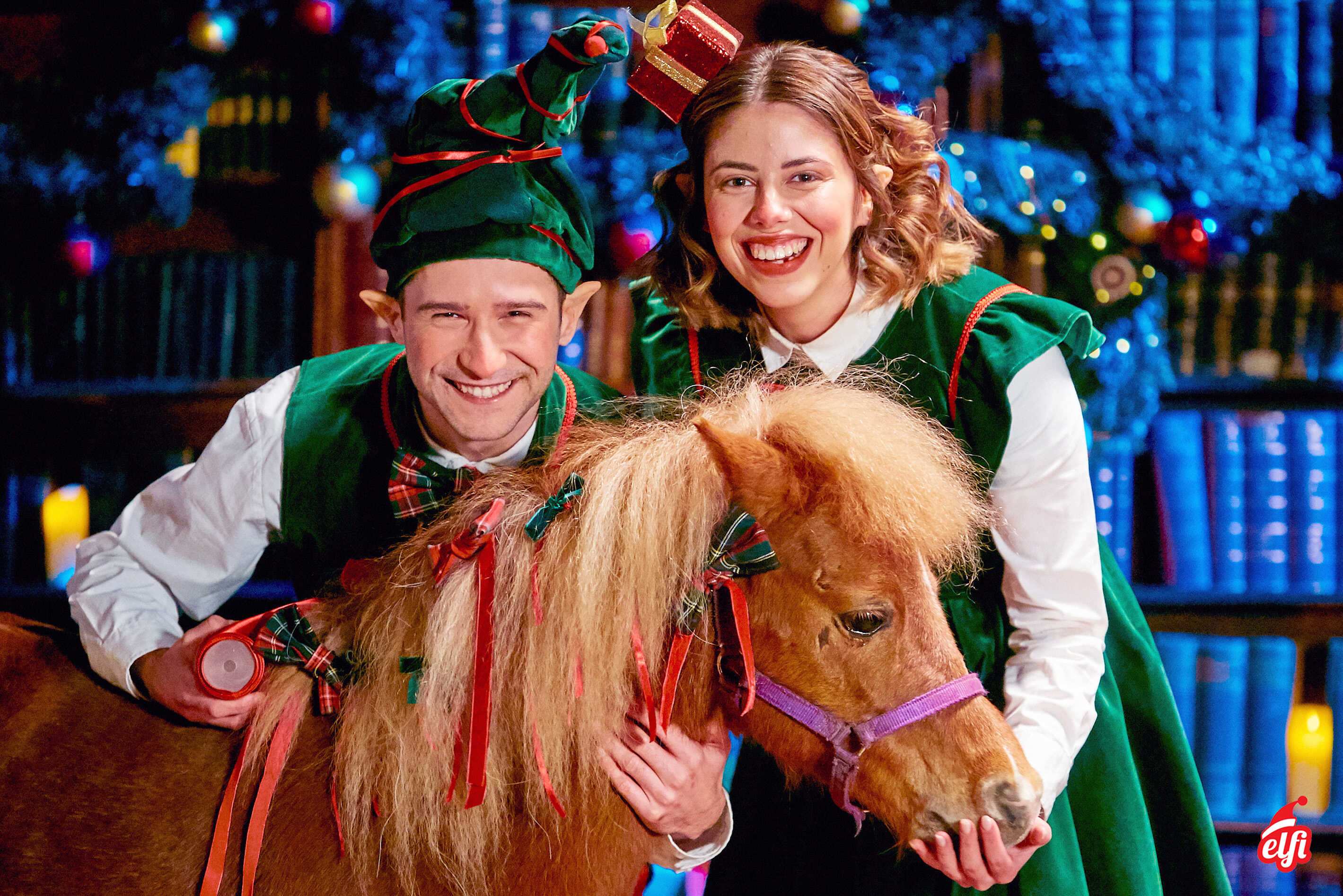 What Does a Reindeer Really Look Like? Facts and Myths