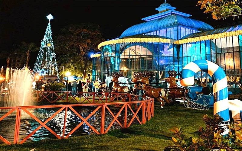 The Christmas market – why should you go?